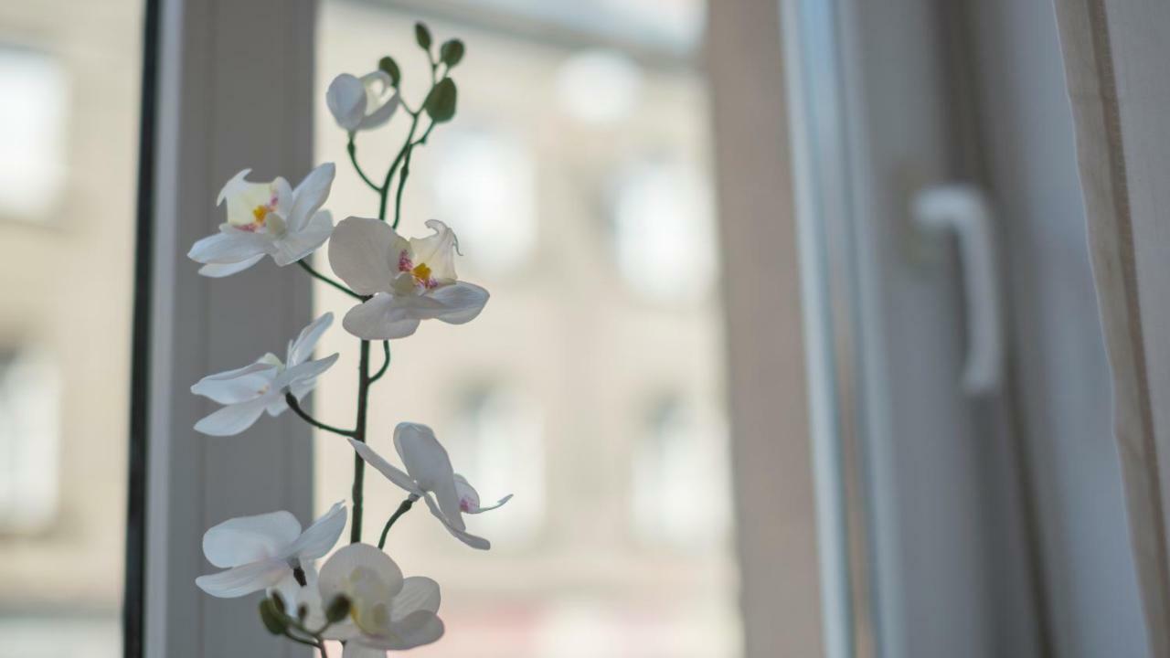 "D&M" Studio Apartments ザグレブ エクステリア 写真